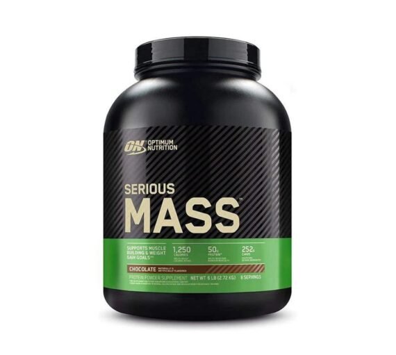 Best Optimum Nutrition Serious Mass Weight Gainer 6 lb